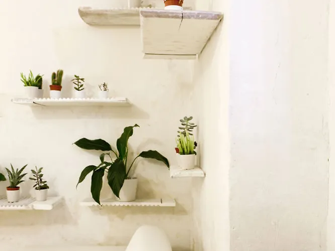 L'arturo Bed & Breakfast